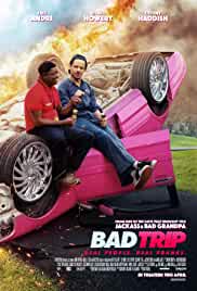 Bad Trip 2020 Hindi Dubbed 480p FilmyZilla