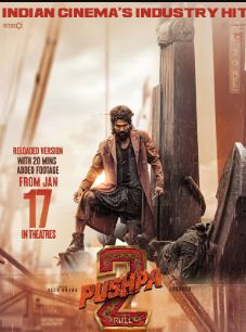 Pushpa 2 Reloaded FilmyZilla 2025 Hindi Dubbed