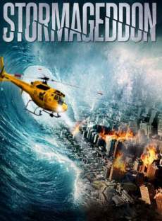 Stormageddon 2015 Dual Audio Hindi 480p 300MB FilmyZilla