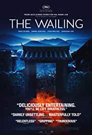 The Wailing 2016 Dual Audio Hindi 480p FilmyZilla