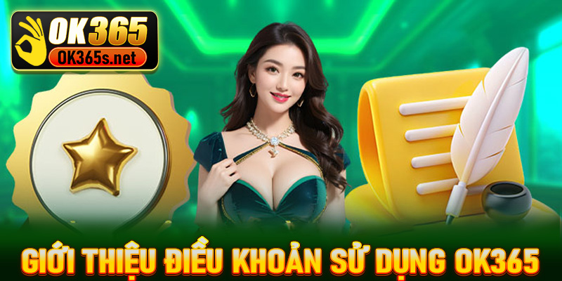 Giới thiệu sơ lược điều khoản sử dụng OK365