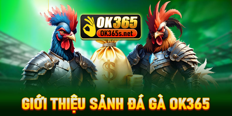 Giới thiệu sảnh đá gà OK365