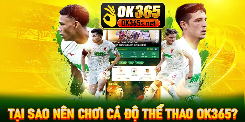 Tại sao bạn nên chơi cá độ thể thao tại nhà cái OK365?